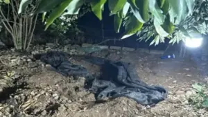 Cụ bà 87 tuổi ở Hải Phòng bị sát hại, chôn thi thể dưới gốc xoài