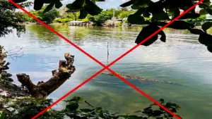 Tạo hình cá sấu trên sông bằng AI để 'hù' em gái, công an xã phải vào cuộc