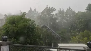 Bất ngờ 'mưa vàng' giải nhiệt một số tỉnh phía Nam