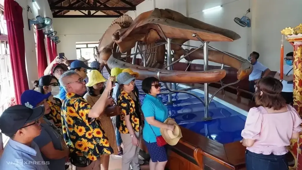 Bộ xương cá voi lớn nhất Đông Nam Á ở tỉnh nào?