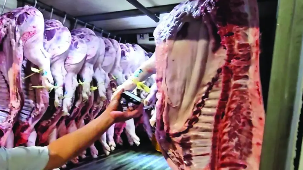 Bộ Y tế kiểm tra đột xuất bếp ăn tập thể tại Hà Nội và Ninh Bình