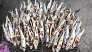 Cá trích gây 'sốt' mạng xã hội