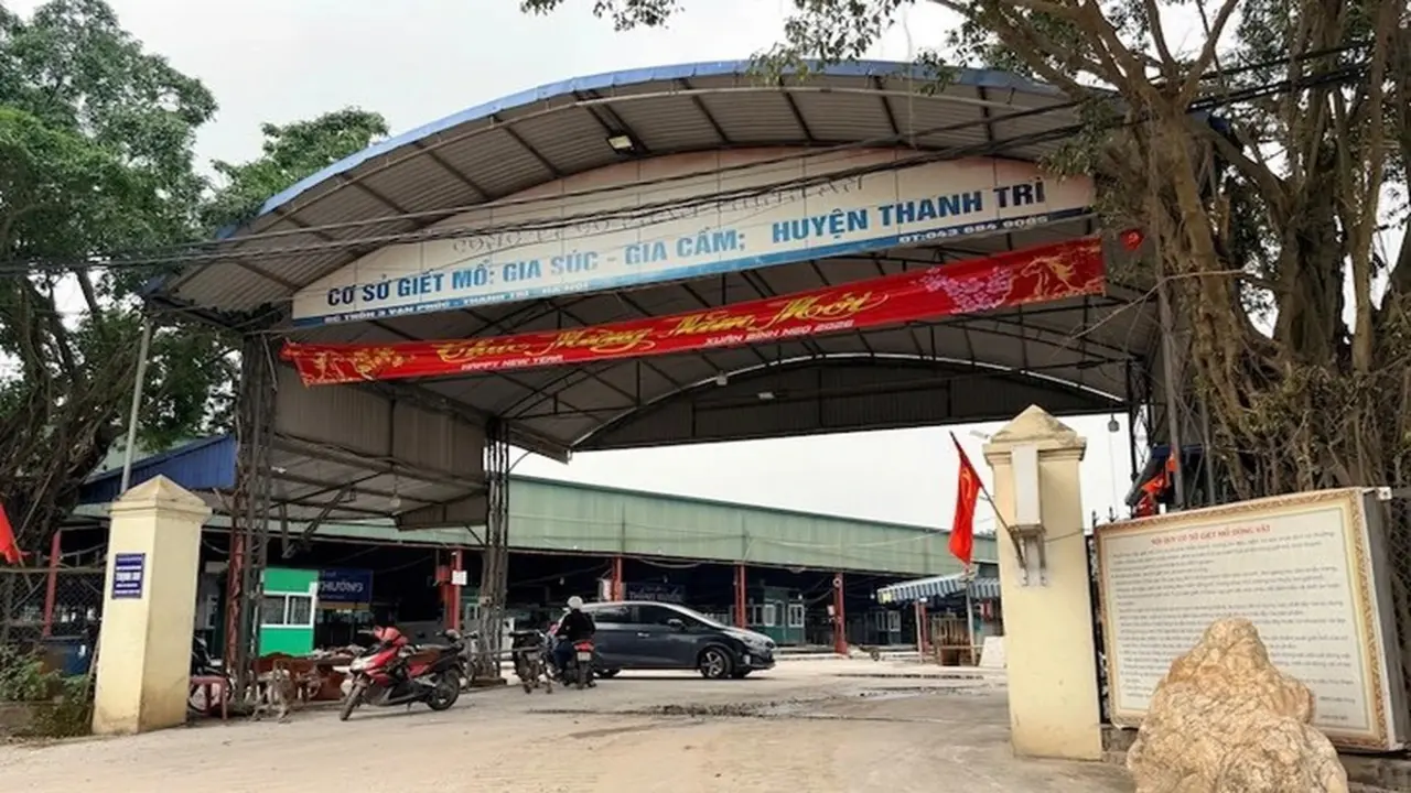 Cách cán bộ kiểm dịch vòi tiền, 'mở cửa' cho 3.600 con heo bệnh vào chợ, bếp ăn trường học