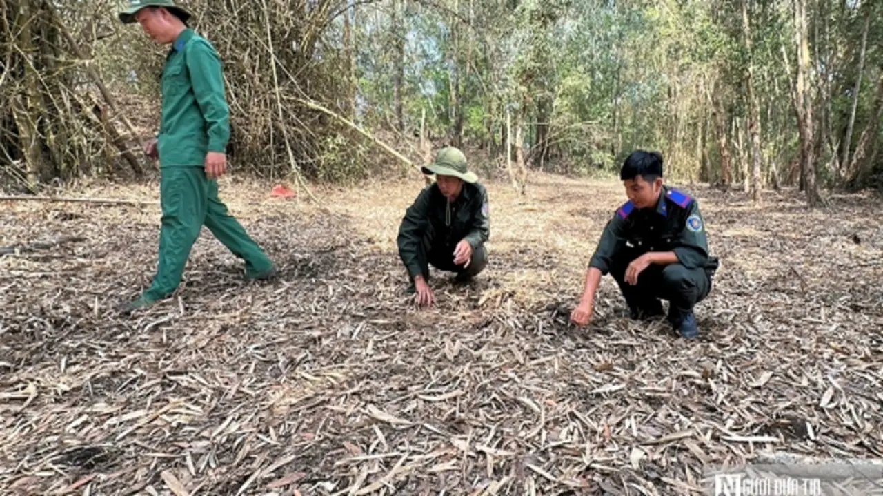 Canh lửa mùa khô: Giữ bình yên rừng Tràm Chim, Gò Tháp