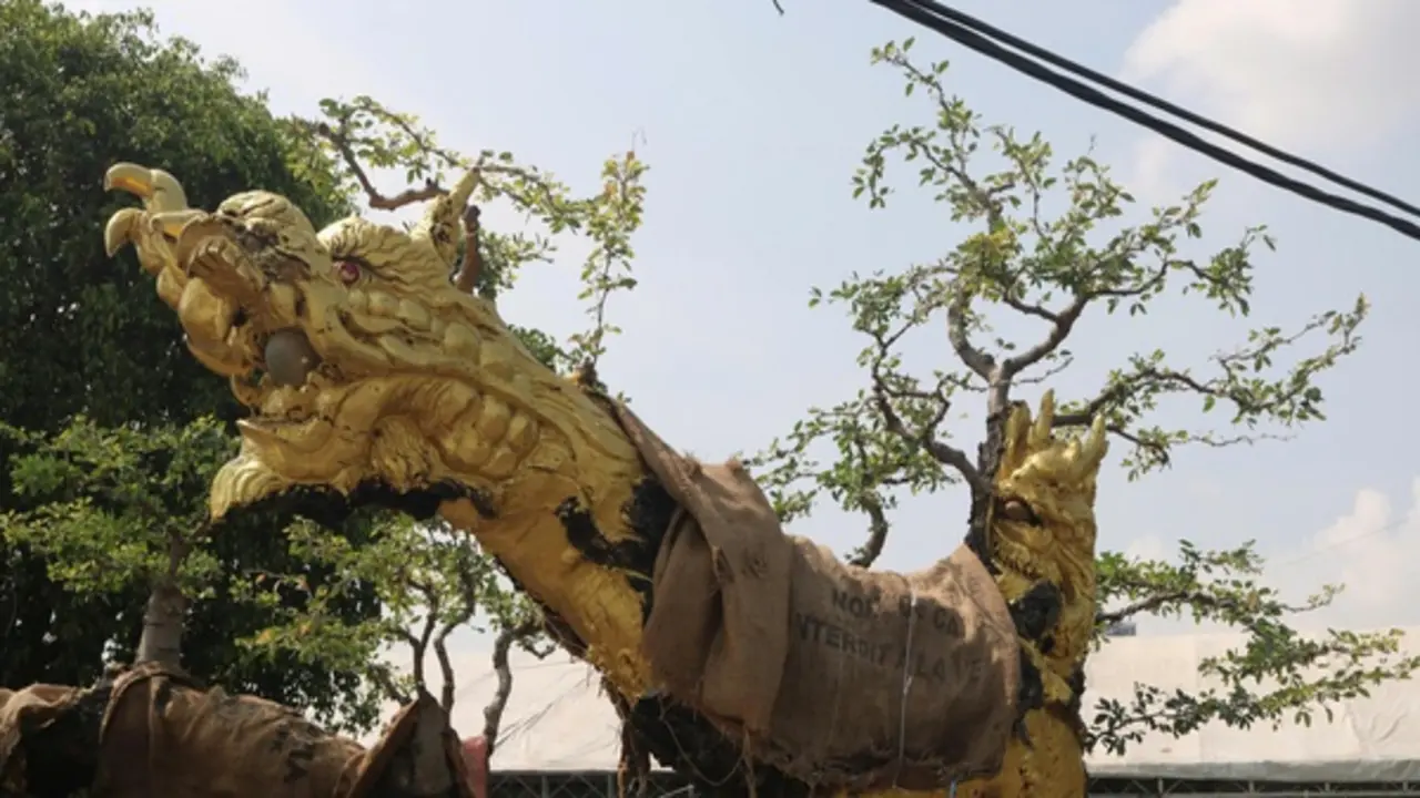 Cây cảnh giá tiền tỉ, dáng độc lạ hút khách tại festival ở TP.HCM
