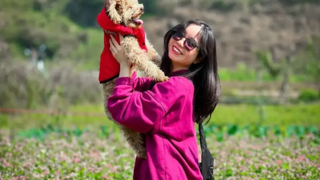 Chi tiền triệu nuôi thú cưng: Người yêu chưa có, nhưng chó, mèo phải có một con