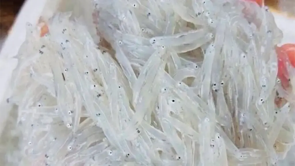 Đặc sản quý mỗi năm chỉ có một mùa, rất giàu canxi, từ già tới trẻ ai cũng mê