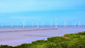 Dự án điện gió ngoài khơi, hydrogen xanh được chuyển giao tới 90% tín chỉ carbon