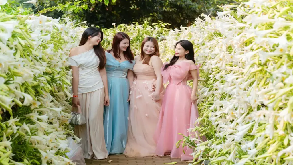 Đường hoa loa kèn nở rộ hút khách chụp ảnh ở ngoại thành Hà Nội