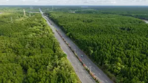 Đường nối trung tâm TP HCM - Cần Giờ trước đề xuất mở rộng