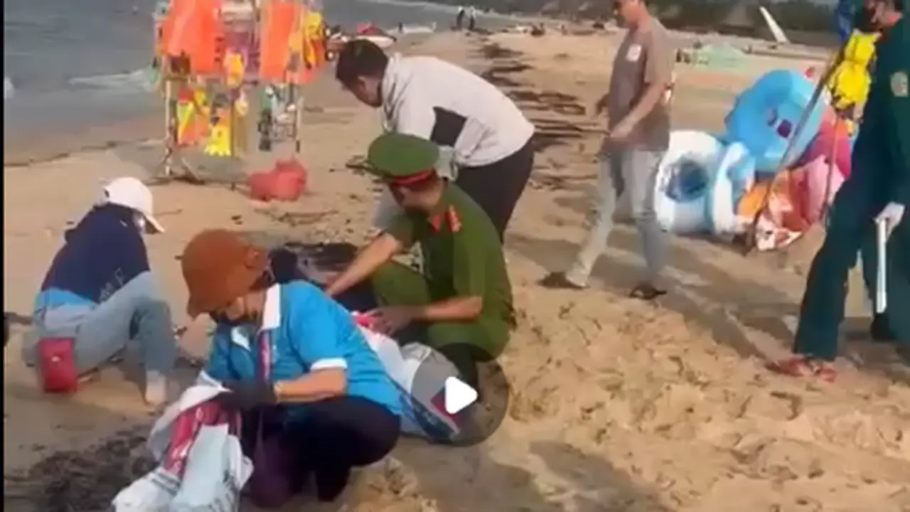 Huy động cả trăm người thu gom dầu vón cục trên bãi biển Cam Bình