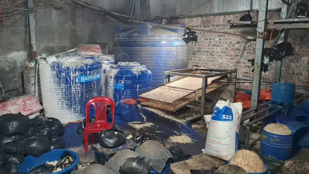 Khởi tố người phụ nữ làm giá đỗ bằng hóa chất độc hại, bán hơn 500 tấn ra chợ đầu mối