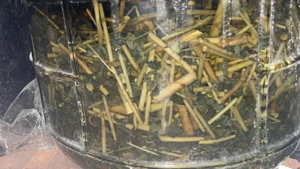 Lầm tưởng uống rượu thuốc để bổ dương