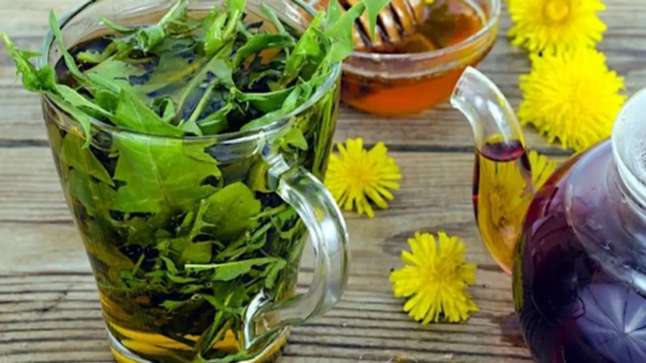 Loài cây mọc đầy vườn ở Việt Nam: Bị thờ ơ, coi là cỏ dại nhưng thế giới lại săn lùng như “thần dược”