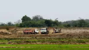 Lợi dụng 'cải tạo đất', múc đất nông nghiệp đem bán?