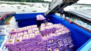 Ngành phân bón đối mặt nhiều thách thức