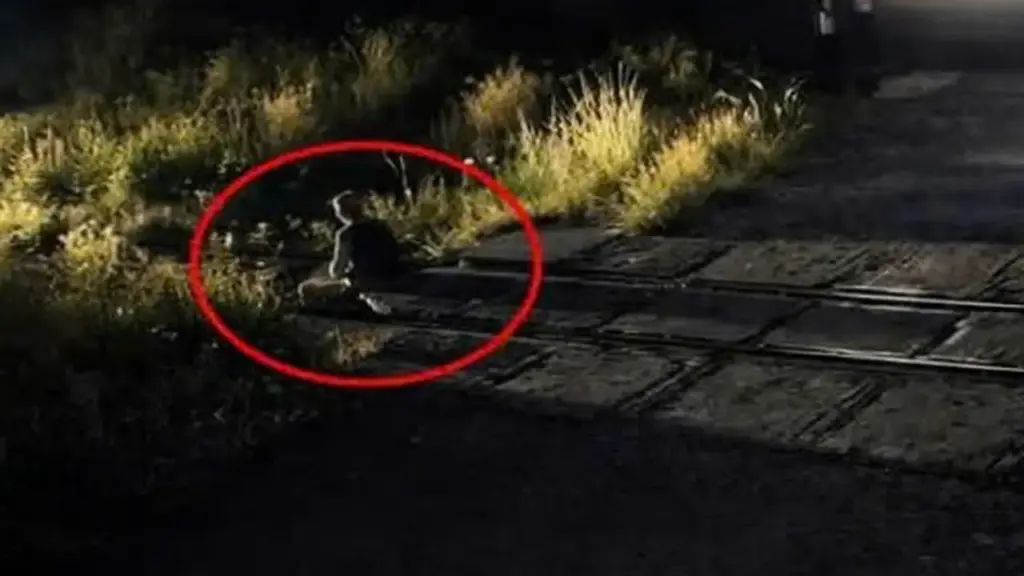 Người đàn ông ngồi giữa đường ray bị tàu hỏa tông chết