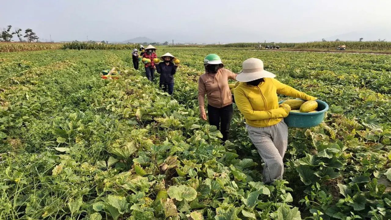 Nhà không cần khóa cửa, hàng xóm mang qua mang lại tô canh nóng, thời đó đã thành xa xưa?