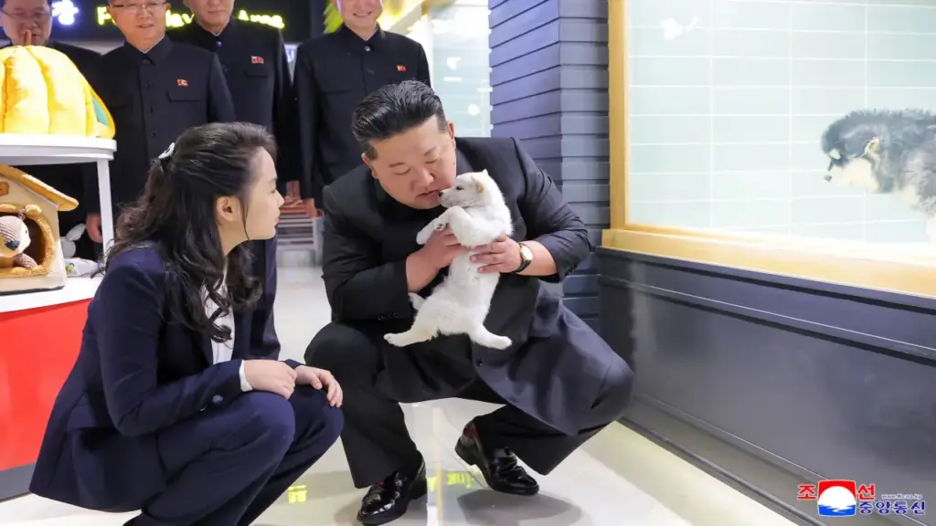 Ông Kim cùng con gái chơi đùa với chó mèo trong cửa hàng thú cưng