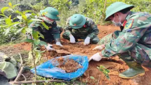 Phát động 500 ngày đêm quy tập và xác định danh tính liệt sĩ