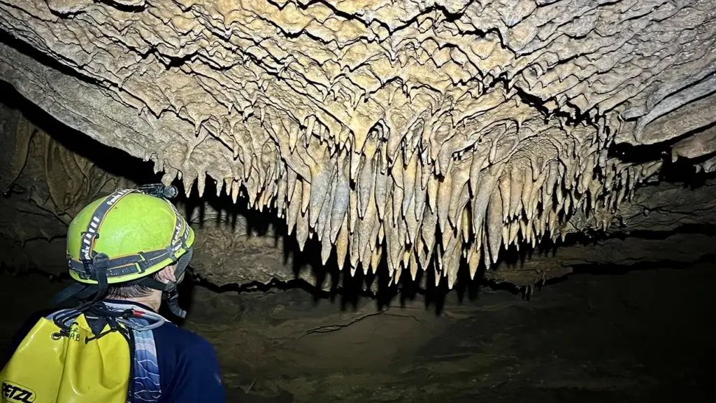 Quảng Trị phát hiện thêm 26 hang động