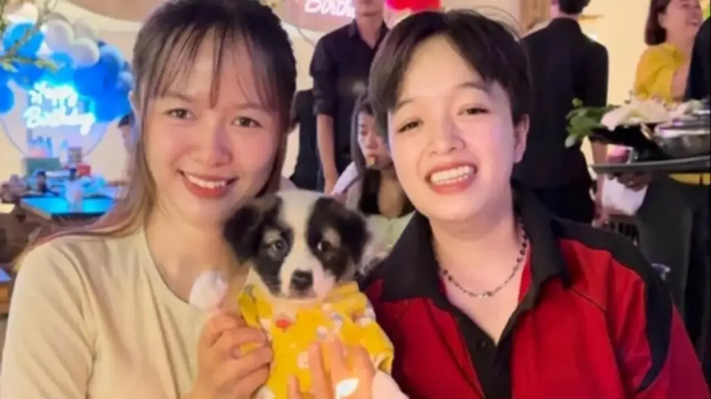 Sao nỡ ăn ‘người bạn’ của mình?: Giới trẻ nói thẳng về thịt chó, mèo