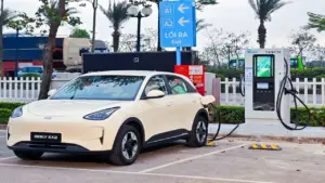 Tasco và Ford lập