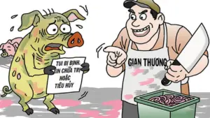 Thịt heo bệnh vào trường học: Nghiêm trị để ngăn tái diễn