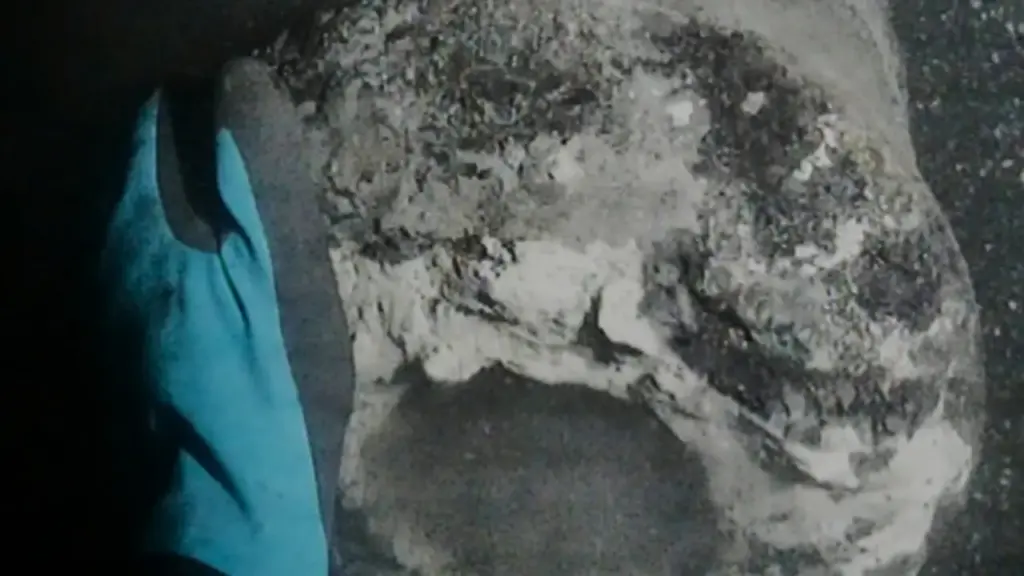 Tìm thấy soái hạm của Đan Mạch bị đánh chìm trong hải chiến 225 năm trước