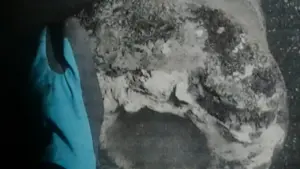 Tìm thấy soái hạm của Đan Mạch bị đánh chìm trong hải chiến 225 năm trước