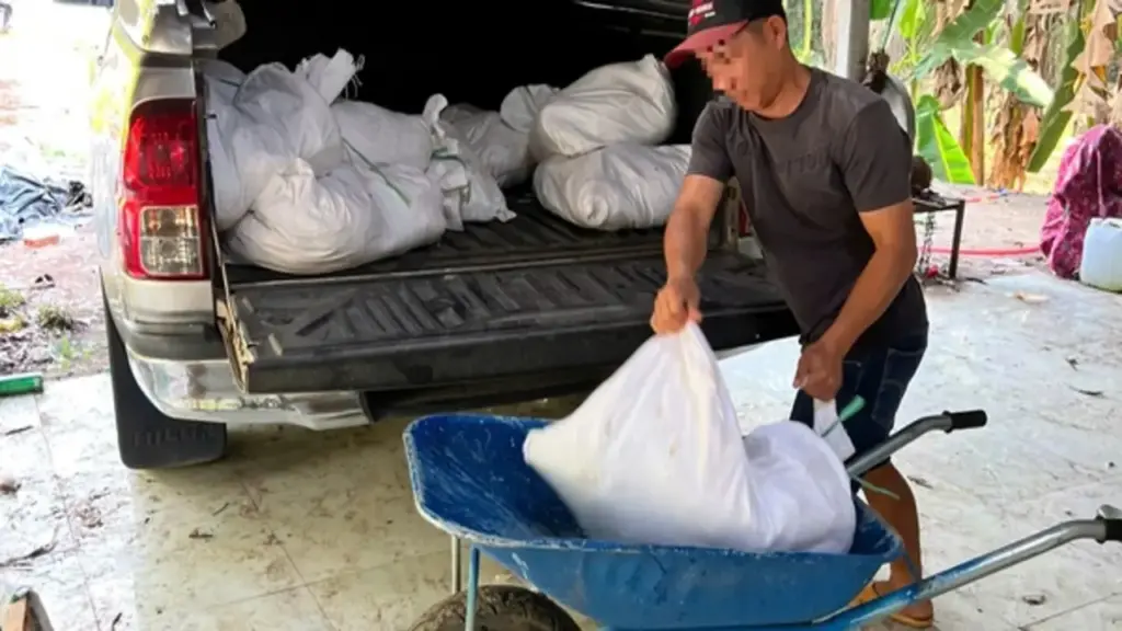 TP.HCM: Chặn xe bán tải, phát hiện 277 kg gà thối đưa đi tiêu thụ