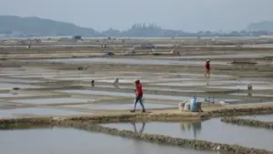 Trớ trêu ở Sa Huỳnh: Giá muối tăng nhưng diêm dân lại… không còn muối