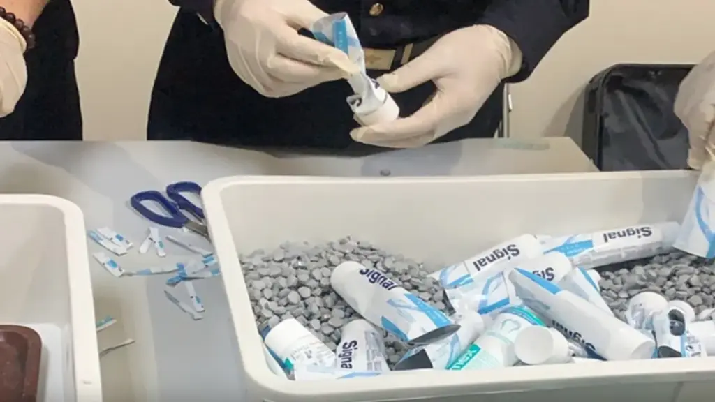 Vụ ma túy liên quan tiếp viên Vietnam Airlines: Truy tố người mẫu An Tây, Chi Dân và 225 bị can