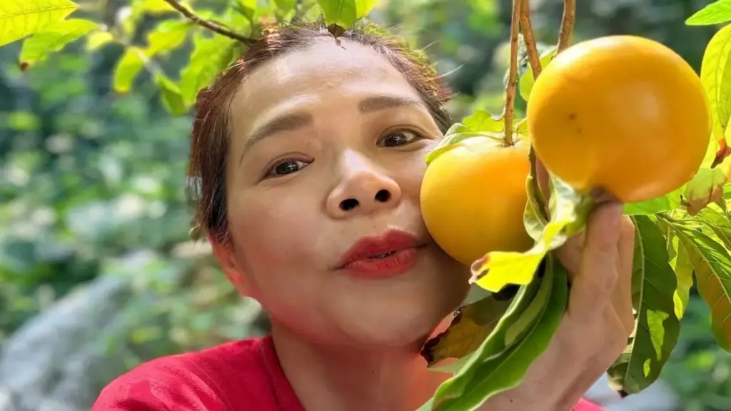 Vườn cây trái 10.000 m2 của Mỹ Lệ