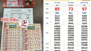 Xổ số miền Nam ngày 2 tháng 4: Người trúng số đài Bình Thuận là... khách quen