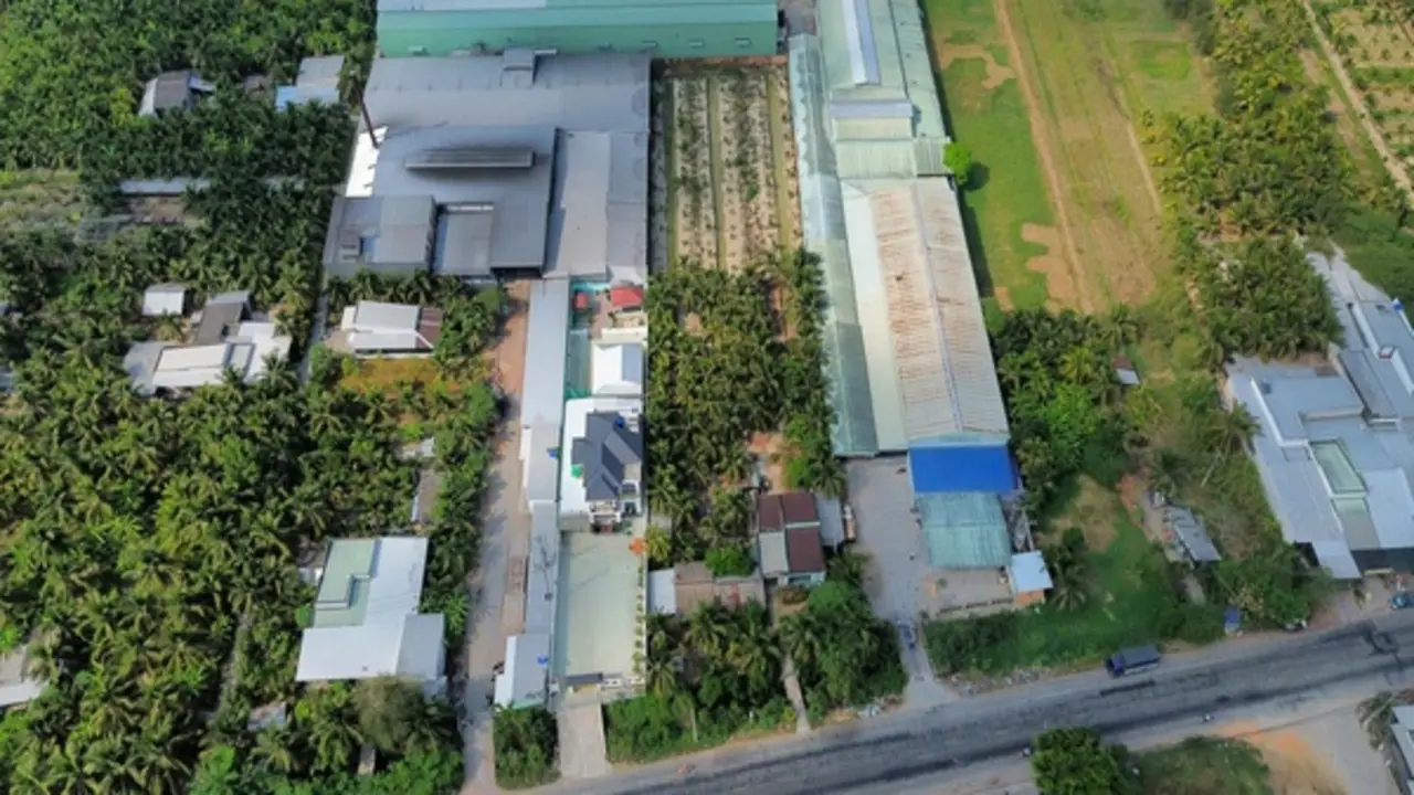 Xưởng sản xuất than gáo dừa gây ô nhiễm nặng, dân khốn khổ nhiều năm