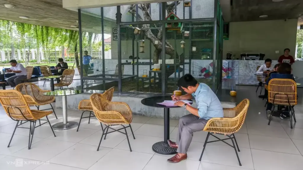 5 trường công lập mới tuyển lớp 10 ở TP HCM