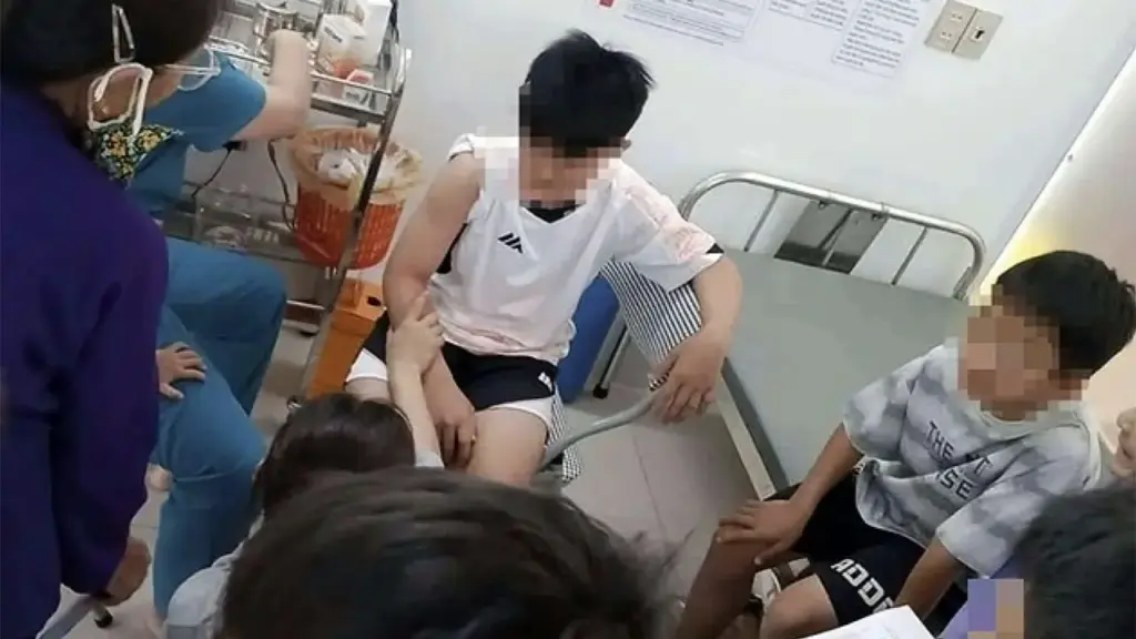6 người đi đường bị chó tấn công