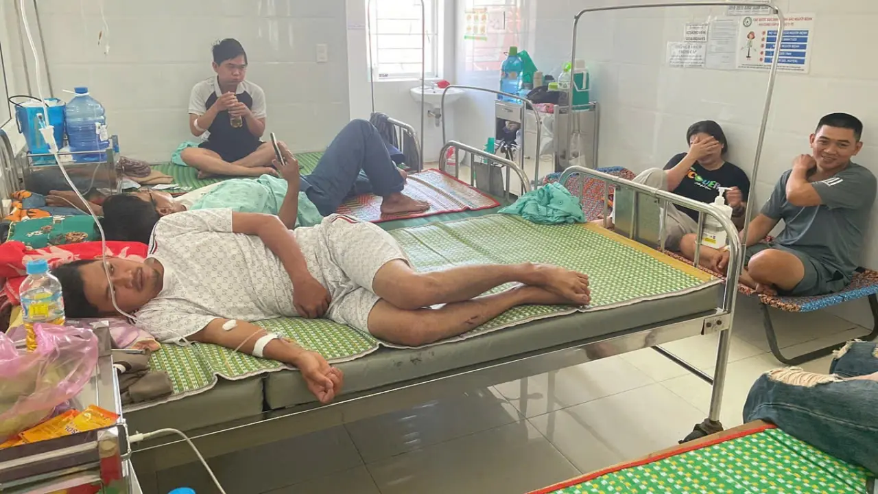7 mẫu bệnh phẩm vụ ngộ độc bánh mì ở Gia Lai dương tính với Salmonella