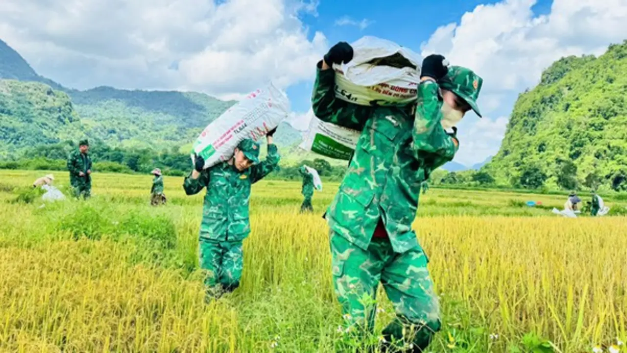 Ảnh: Thấm đẫm tình quân dân trên cánh đồng biên giới