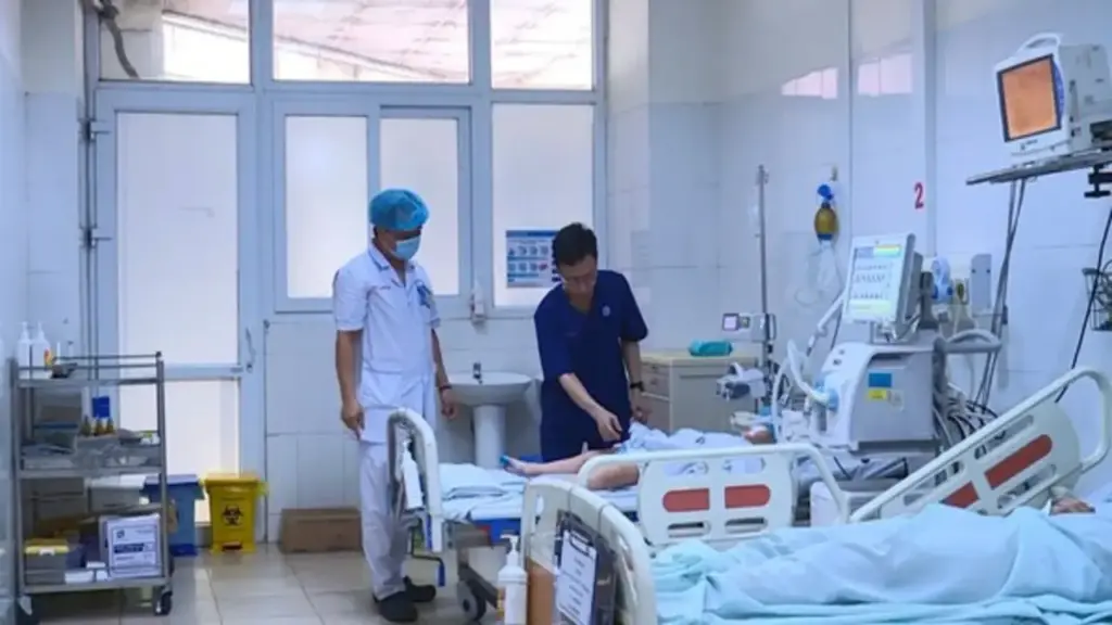 Bị rắn độc cắn khi đang ngủ ban đêm, bé 5 tuổi nguy kịch