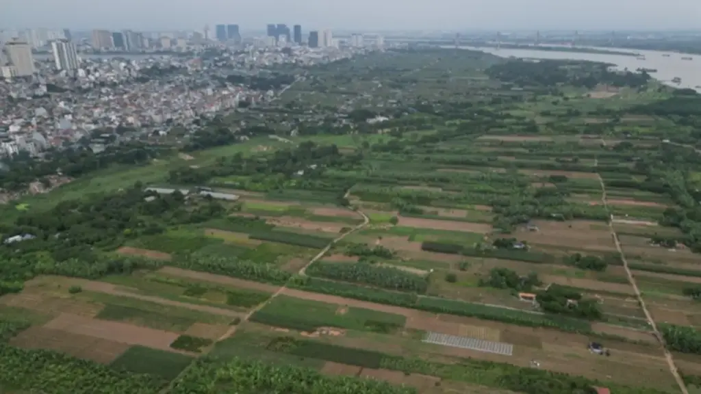 Bộ Nông nghiệp và Môi trường yêu cầu đăng tải công khai vi phạm đất đai