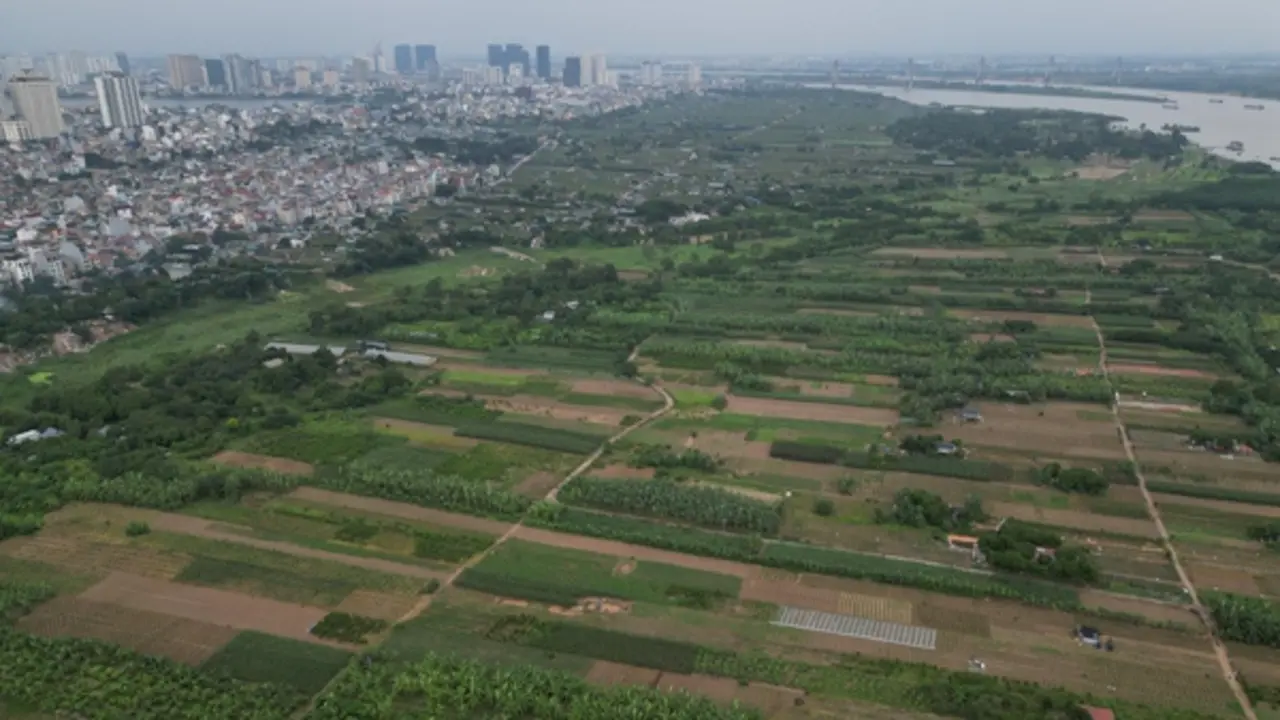 Bộ Nông nghiệp và Môi trường yêu cầu đăng tải công khai vi phạm đất đai