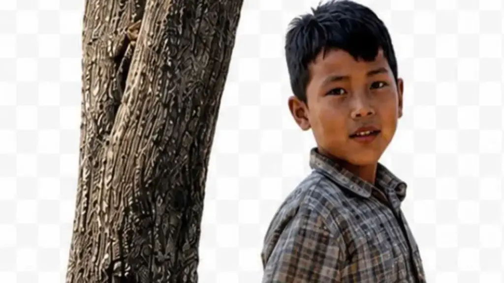 Bộ Tư lệnh TP.HCM tìm nhân chứng phục vụ quy tập hài cốt liệt sĩ năm 1968