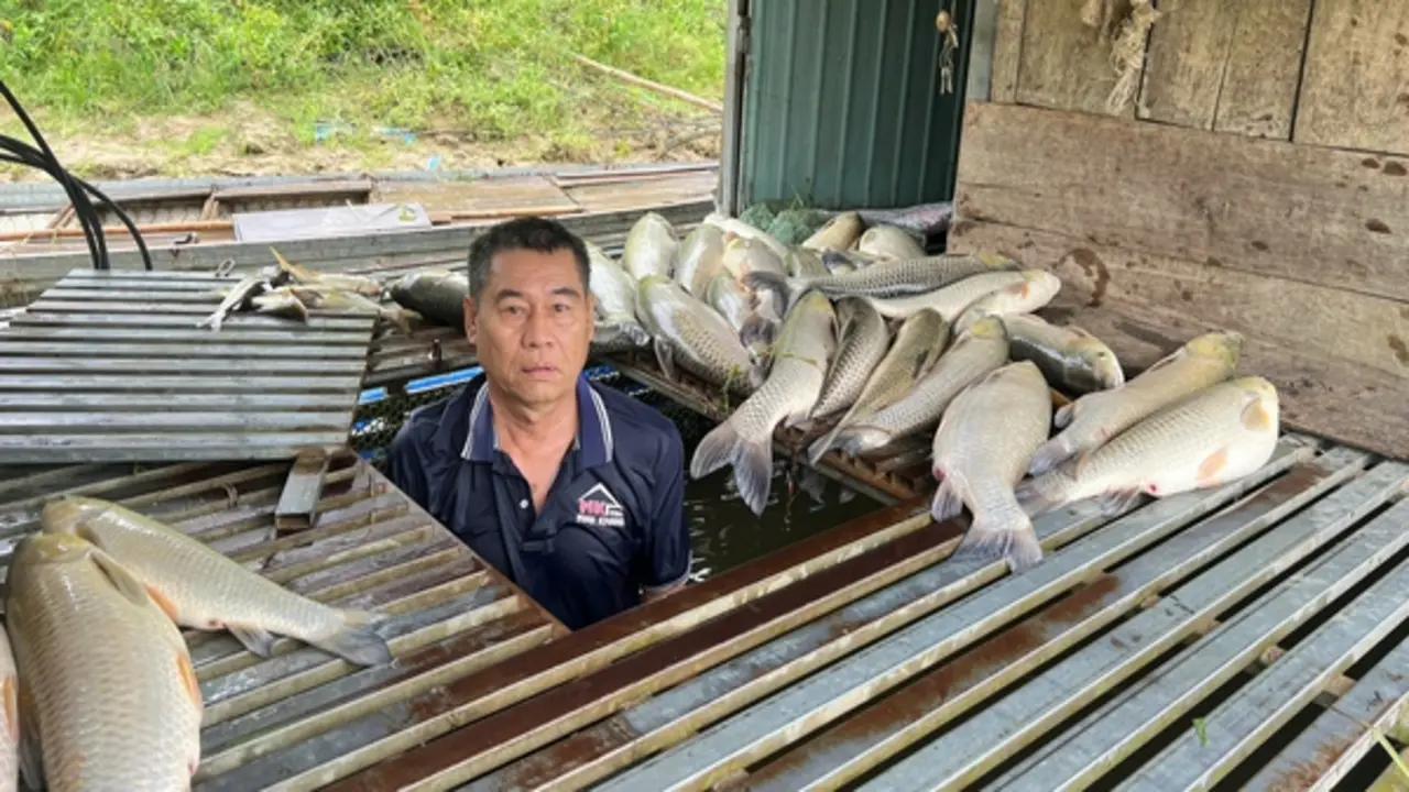 Cá chết hàng loạt bất thường trên sông Lam: Xác định nguyên nhân ban đầu