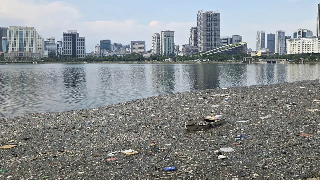 Cá chết nổi trắng góc hồ điều hòa ở Hà Nội