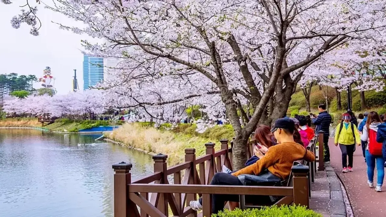 Các điều kiện giúp khách Việt xin visa Hàn Quốc 10 năm