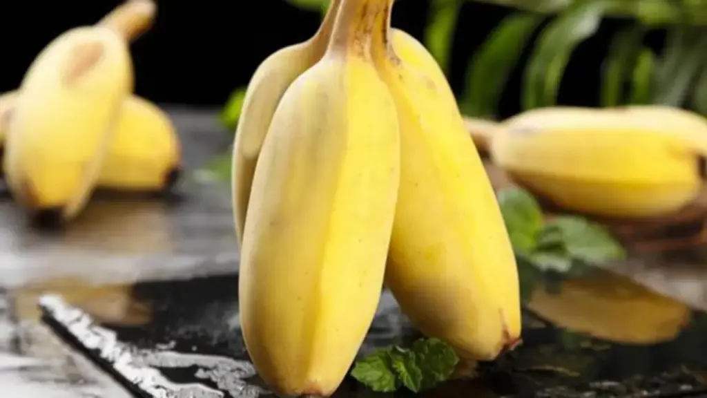 Chỉ vài nghìn đồng, loại quả này lại chứa "kho dinh dưỡng" nhiều người bỏ qua