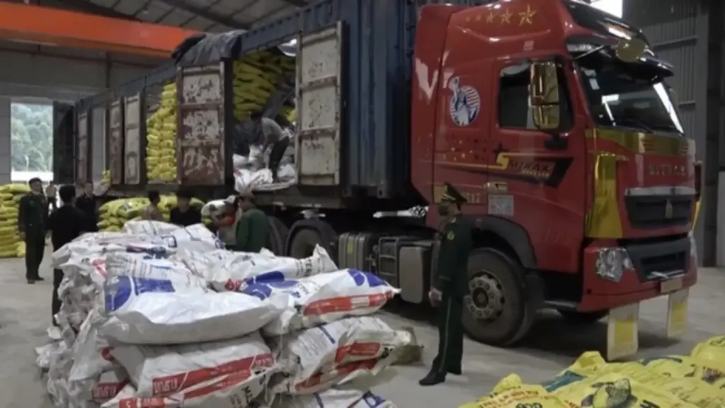 Con trai và cháu của Trưởng khoa Dược là đồng phạm, cùng bị khởi tố