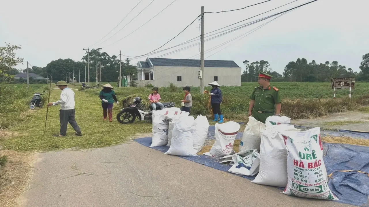 Công an sẽ xử lý các trường hợp cố tình phơi lúa, rơm rạ trên đường